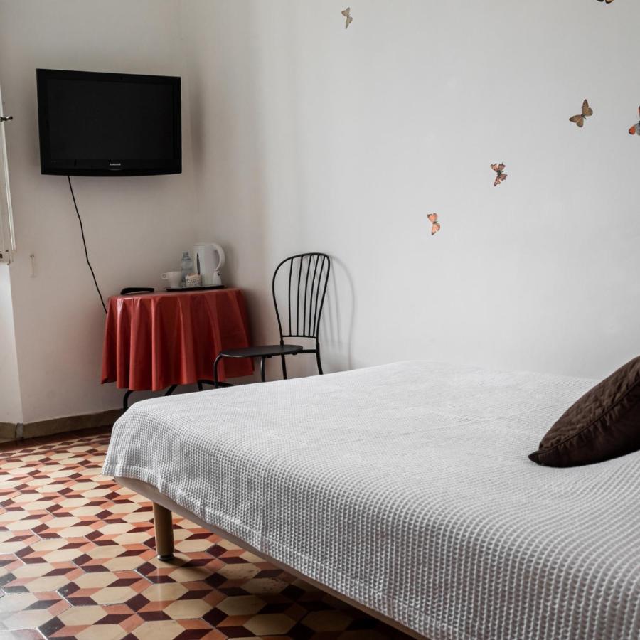 Arena Alfieri B&B Livorno Exterior foto