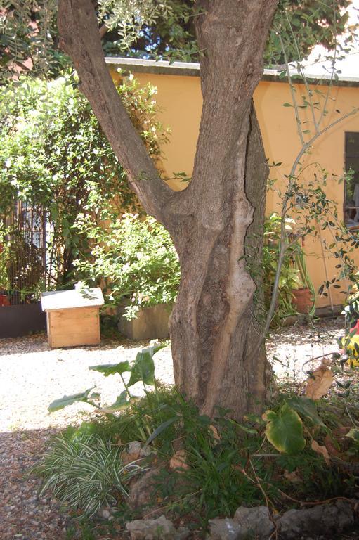 Arena Alfieri B&B Livorno Exterior foto